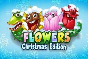 Flowers Christmas Edition